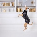 dog.co_074_3.jpg