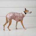 dog.co_070.jpg