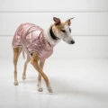 dog.co_071.jpg