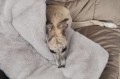 DSC_6313.JPG